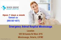 River Grove Animal Hospital image 2